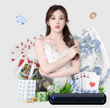 半岛体育 APP 界面